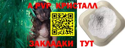 гашик Донецк