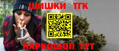 МДПВ Дубна