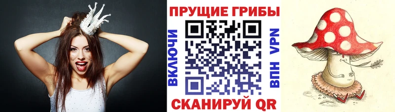 купить закладку  KRAKEN ссылка  Псилоцибиновые грибы Psilocybe  Новозыбков 