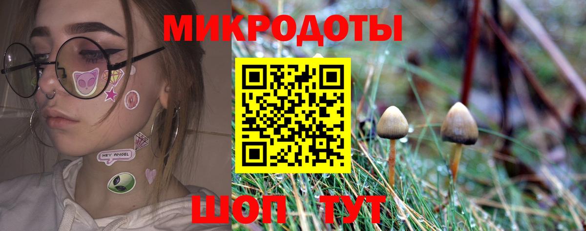 Галлюциногенные грибы Cubensis  Вход с VPN  где найти   Новозыбков 