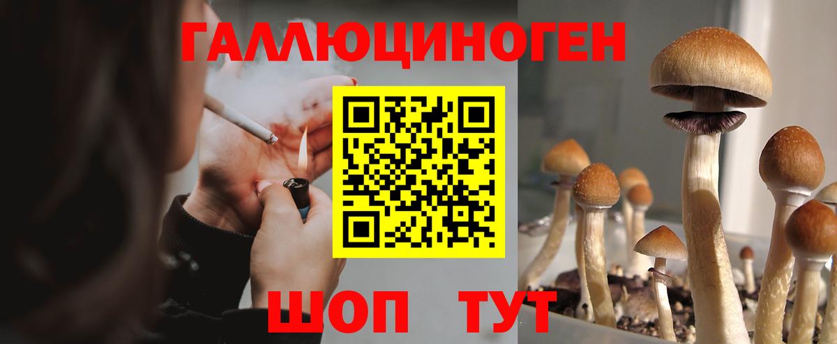 Конопля  Новозыбков  Меф   ГАШ  Вход с VPN  Cocaine 